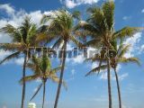 South Beach, Miami Beach
