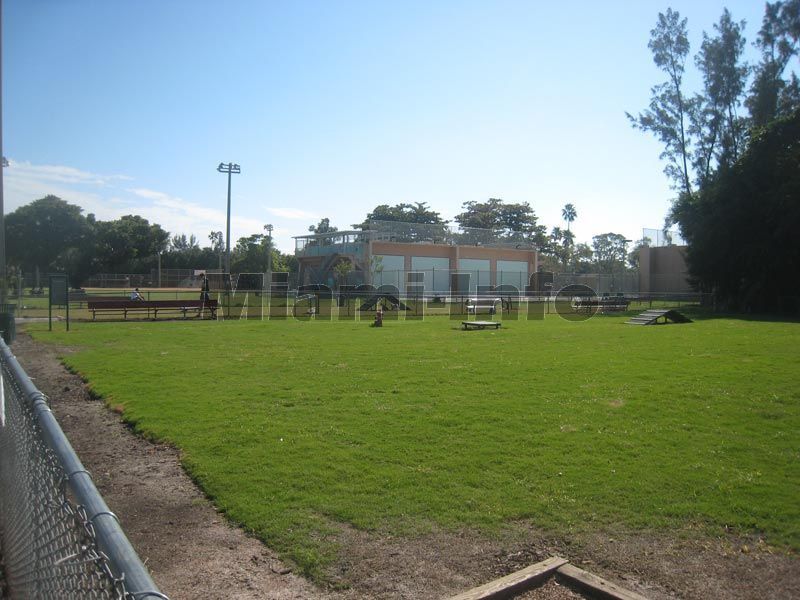 Flamingo Park South Beach, Miami Florida Photos